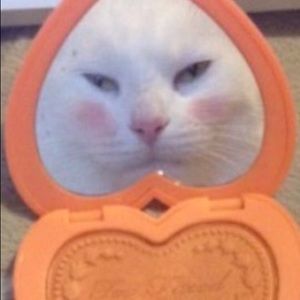 Meet your Posher, Gian carlo